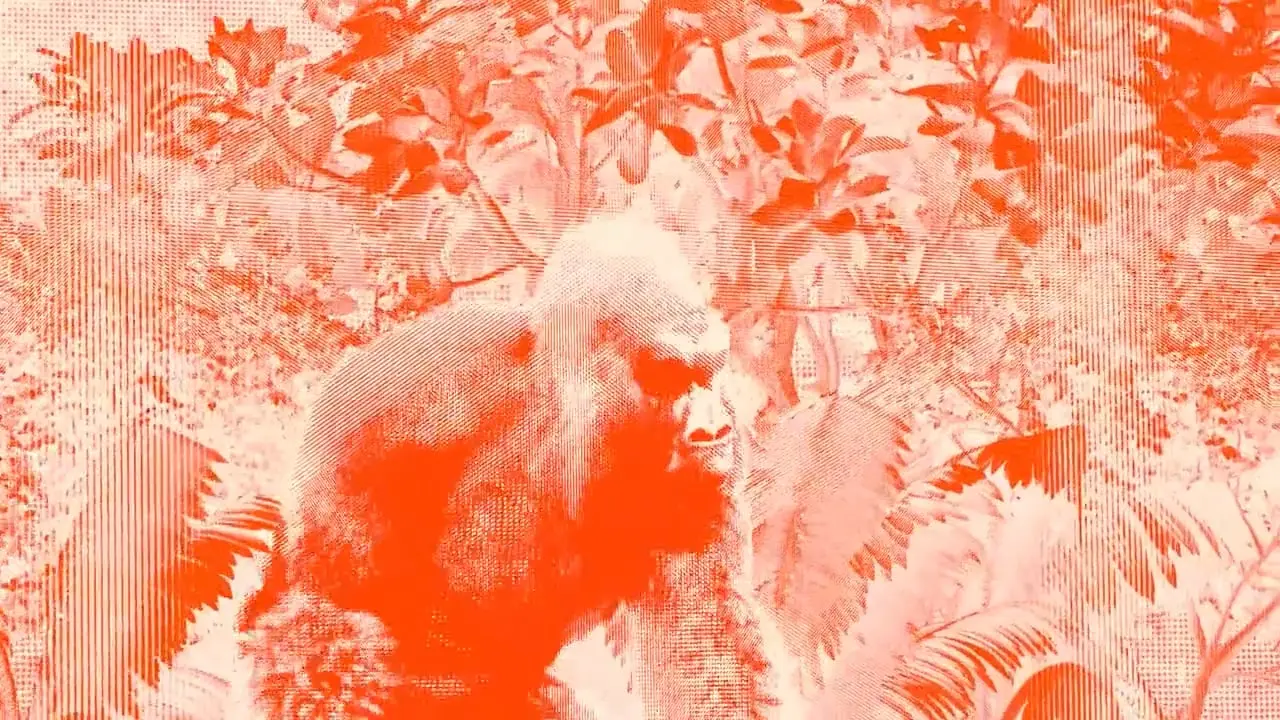 Orange halftone image of a gorilla in forest